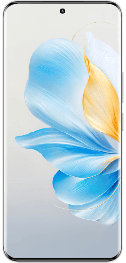 Honor 100 Reparatur