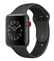 Apple Watch Series 3 Reparatur